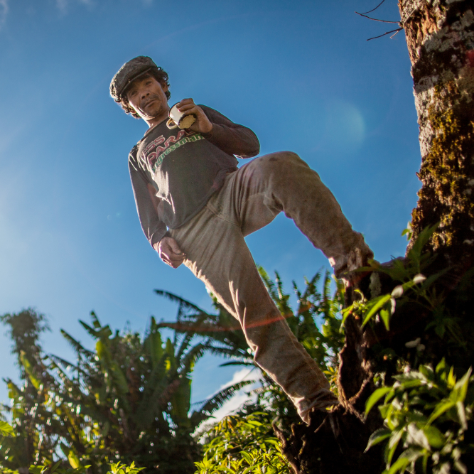 An Untraditional Vehicle